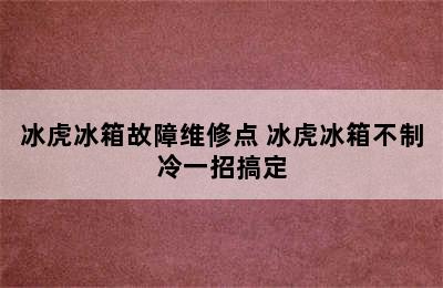 冰虎冰箱故障维修点 冰虎冰箱不制冷一招搞定